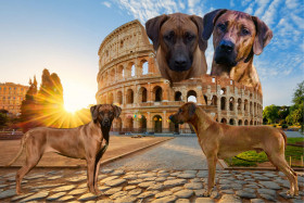 48a66486-8781-46f5-8e52-cacaa382fc6d