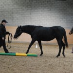 Lyngbys Estelle Mary och hennes Anna