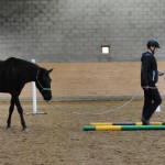 Tullesbo Riverton och hans Thomas