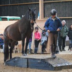 Falkas Disney Hope och Susanne, redan sammansvetsade