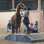 Escania's Blackjack Pine son följer lillmatte Elina var hon än går.