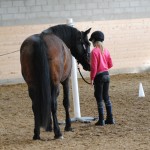 Hoppsan och lillmatte Tova