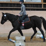 Goldget Kitty fick låna Lotta på ryggen idag