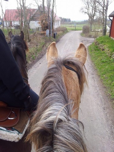 1959324_10152271882341648_474796972_n