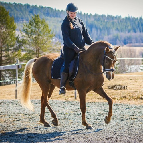 13076533_10153819134949145_7591043796854106585_n