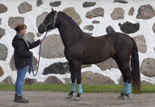 13568942_10154152581136648_4176098797376109523_o