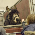 _DSC0020